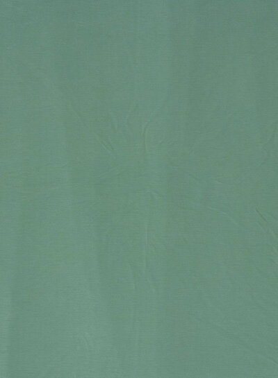 mint - sandwashed viscose jersey
