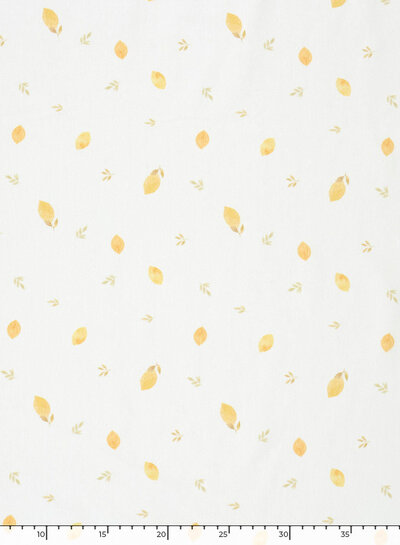 lemons - jersey