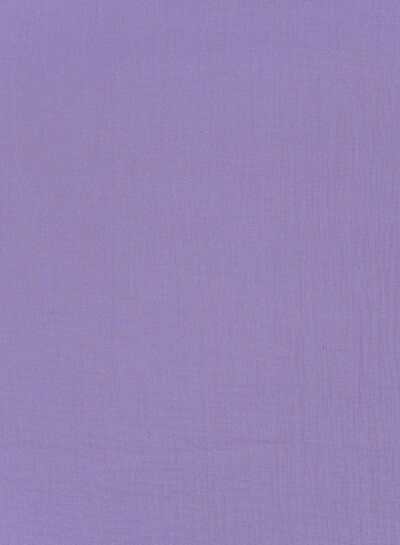 plain tetra lavender