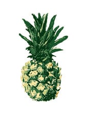 See You at Six Download - Pineapple