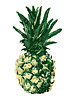 See You at Six Download - Pineapple