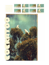 See You at Six Download - Cockatoo  groot