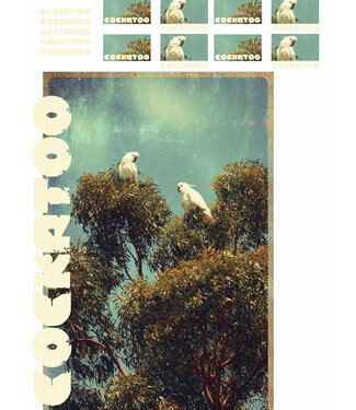 See You at Six Download - Cockatoo large