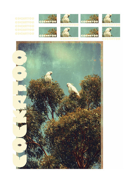 See You at Six Download - Cockatoo  groot