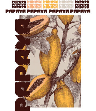 See You at Six Download - Papayas groot
