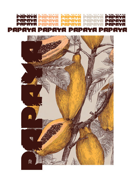 See You at Six Download - Papayas groot