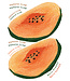 See You at Six Download - combinatiepakket - Papaya voor zak en kleding
