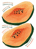 See You at Six Download - combinatiepakket - Papaya voor zak en kleding