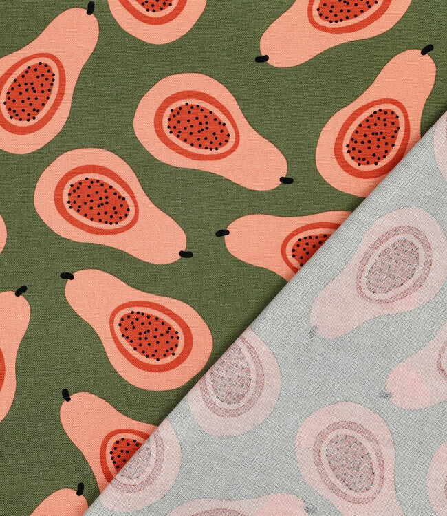 papaya's - canvas