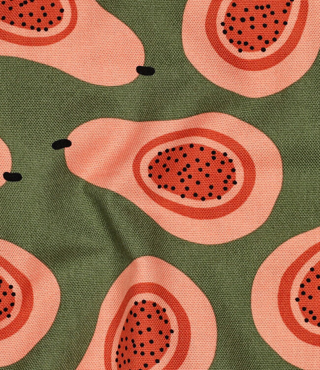 papaya's - canvas