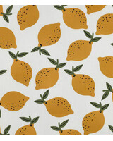 lemons - canvas