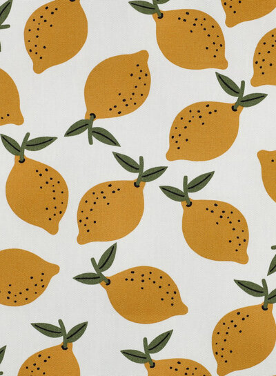 lemons - canvas