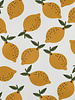 lemons - canvas