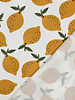 lemons - canvas