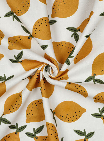 lemons - canvas