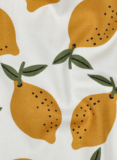 lemons - canvas