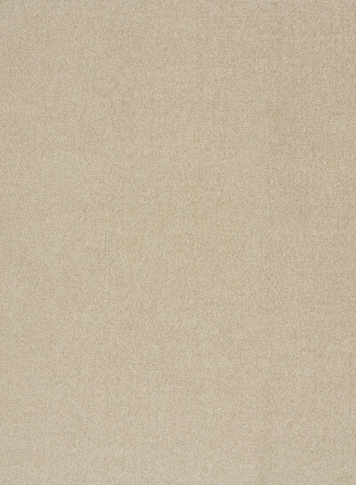 wear-resistant - canvas - furniture and bag fabric - beige