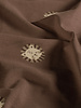 brown lions - jersey