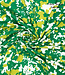 Fibremood PRE ORDER green print - viscose - Mina
