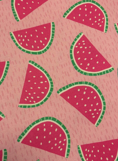 melons on pink - supple canvas