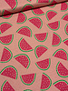 melons on pink - supple canvas