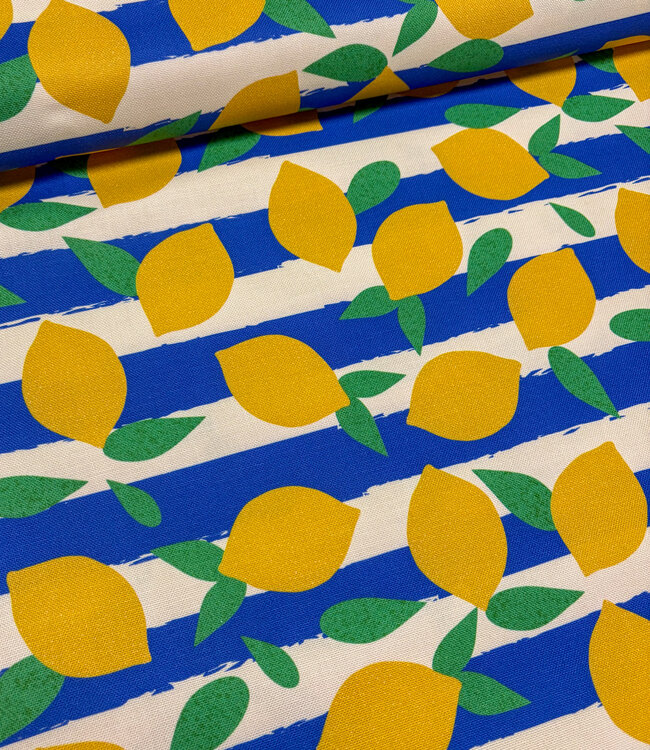 lemons and stripes - soepele canvas