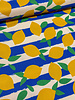 lemons and stripes - supple canvas