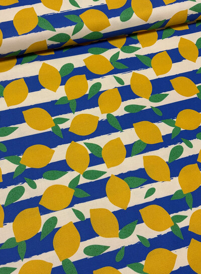 lemons and stripes - soepele canvas