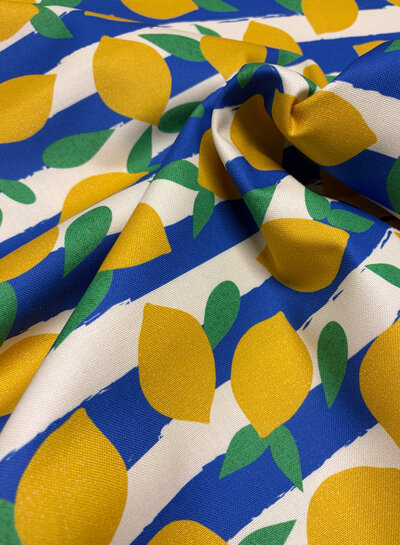 lemons and stripes - supple canvas
