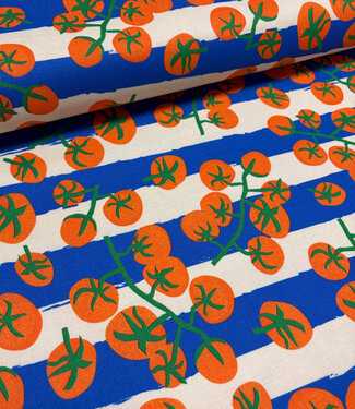tomatoes and stripes - supple canvas