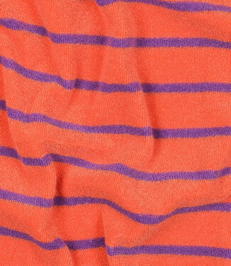 orange with purple stripes - sponge