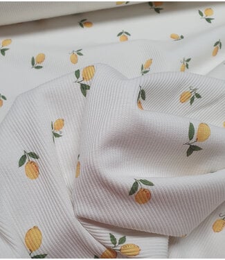 lemons ecru - ribbed knit