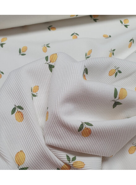 lemons ecru - ribbed knit