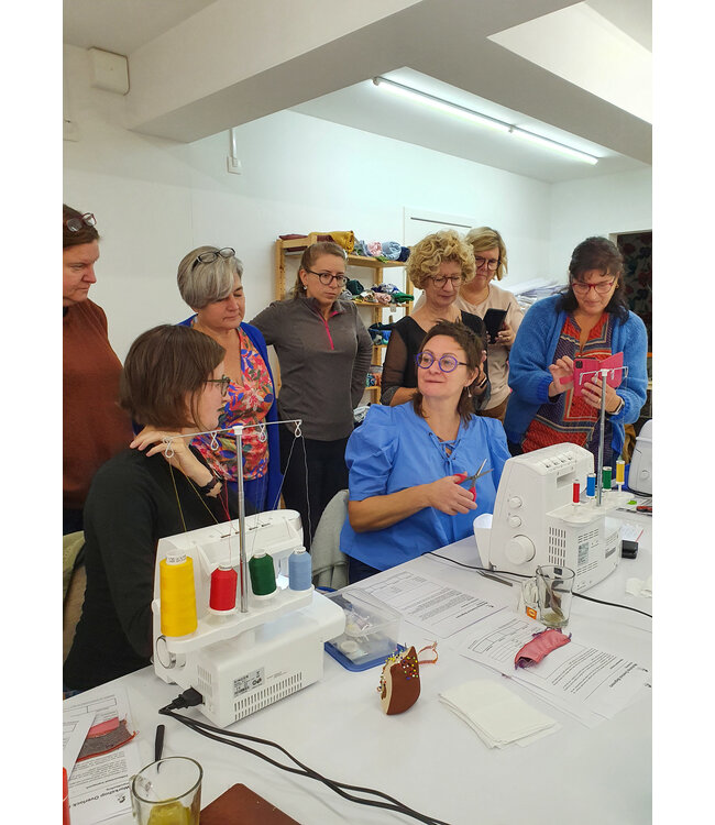 learning to use an overlock machine NM 23/12/2026