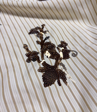 beige stripes with embroidered sequins - viscose