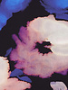 Madeline blurred flowers - viscose met lichte stretch