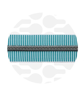 ZipperZoo spiraalrits ZEBRA mint - wit gestreept met ZILVER spiraal #5 (excl. ritstrekkers)