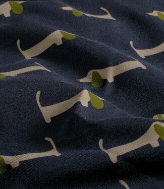 teckel groen accent - sweater