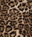deadstock faux fur - bruin cavallo luipaardprint