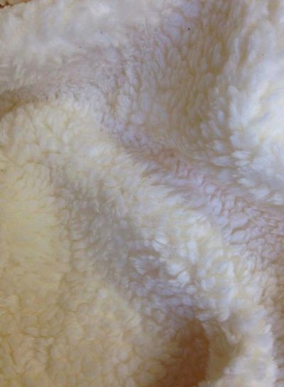 Madeline teddy fleece - organic cotton