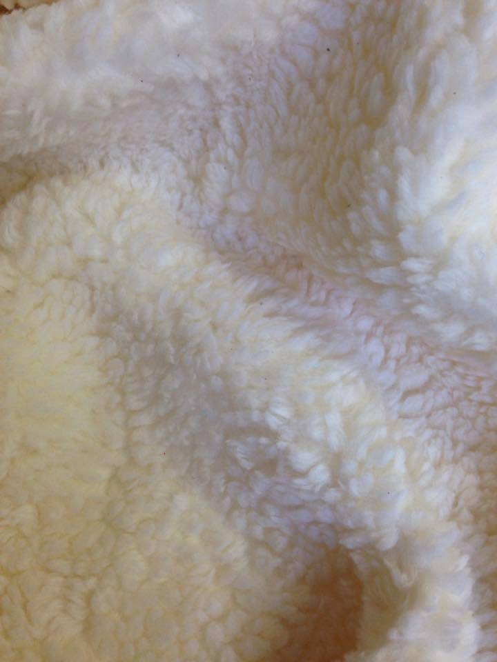 Kloppen een analyseren teddy fleece - biokatoen - Madeline de stoffenmadam