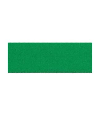Prym elastic green