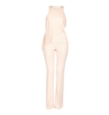Elisabetta Franchi Jumpsuit with beads soft pink