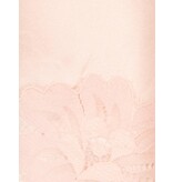 Gold Hawk Floral shorts met kant evening