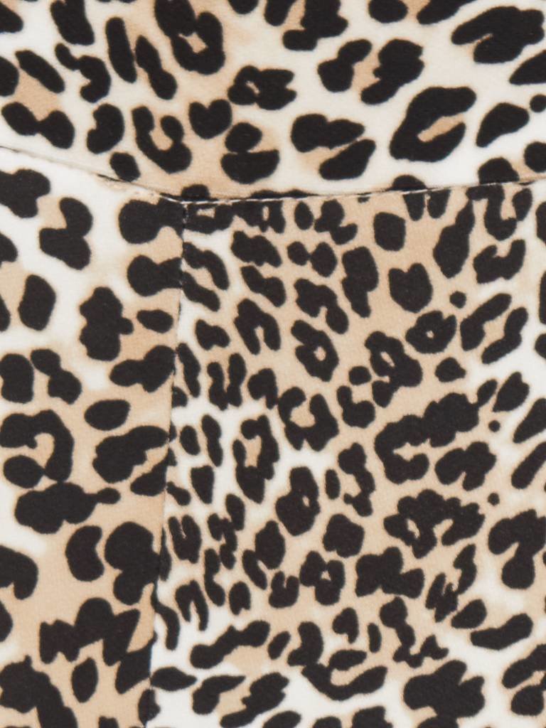 Elisabetta Franchi Leopard print trousers beige