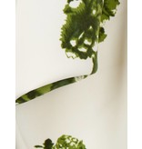 Notes Du Nord Ashlee Jumpsuit wit