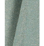 Elisabetta Franchi Lame body Mintgroen