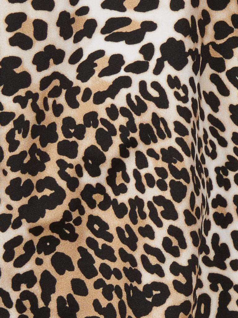 Elisabetta Franchi Swimsuit Leopard Print