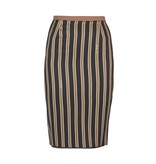 Elisabetta Franchi Striped midi skirt black-dark green