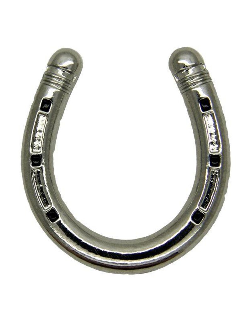 Godert.me Horseshoe pin zilver